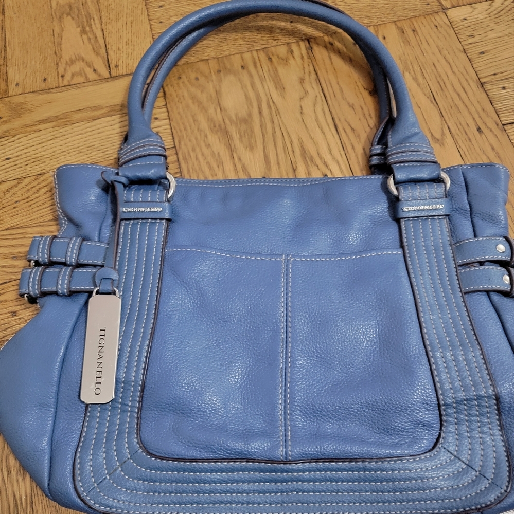 Tignanello Blue Leather Bag